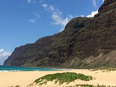 Polihale