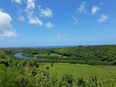 Wailua River